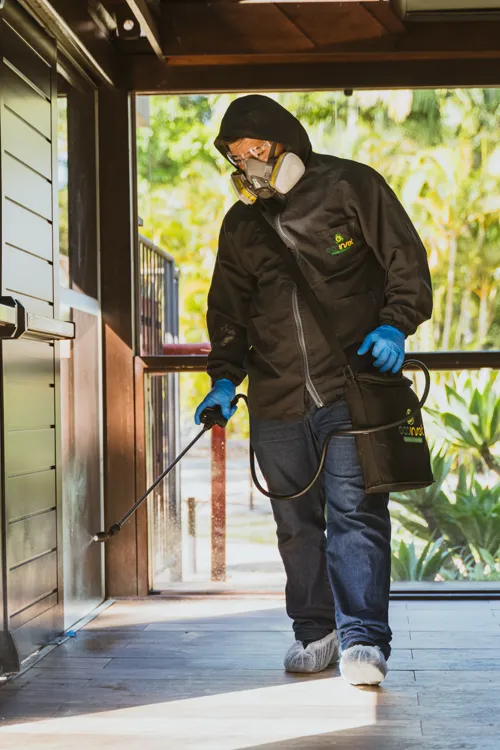 Técnico da Ecoinset aplicando tratamento contra cupim